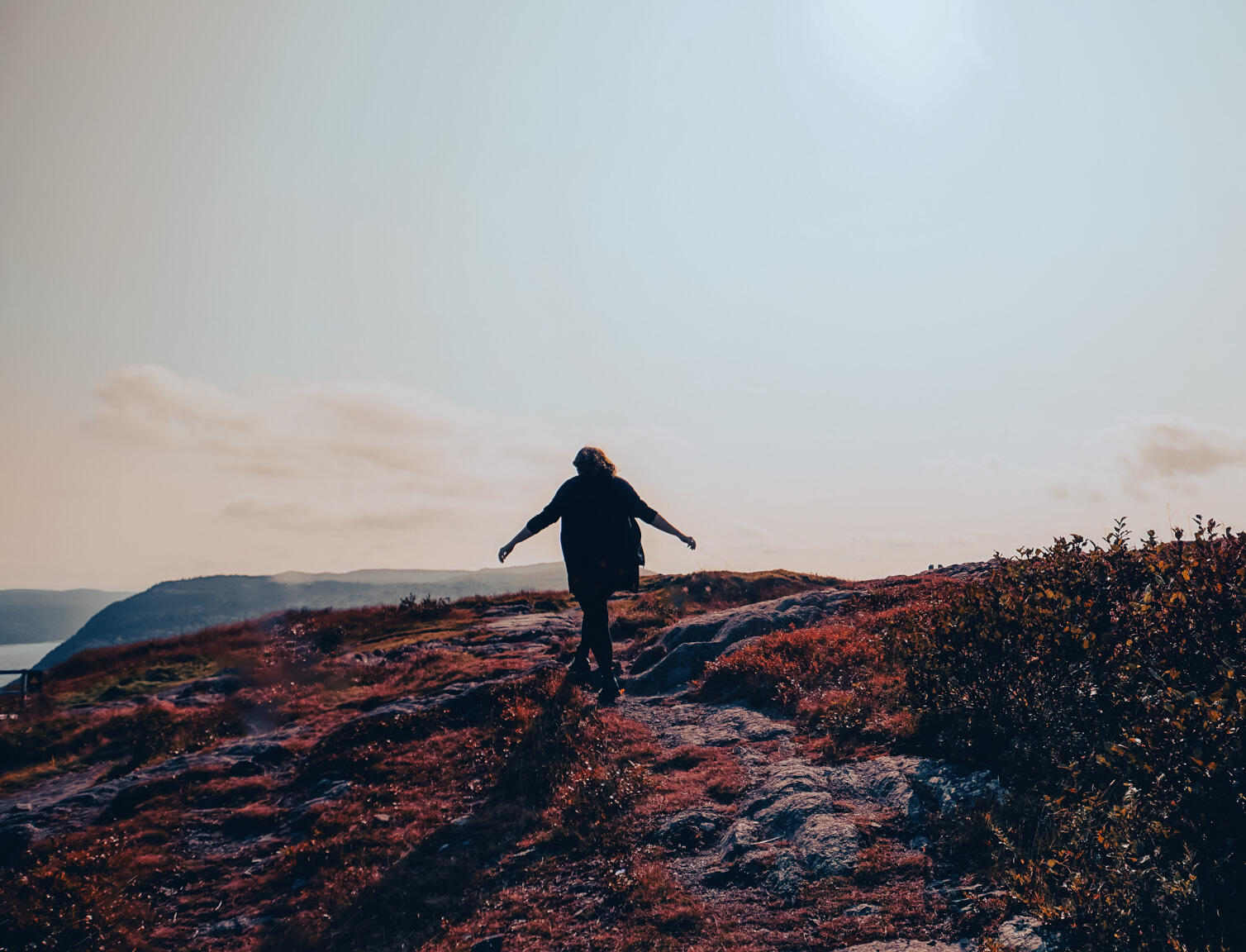 Fourteen - Roxane Gay’s The Audacity: Emerging Writer Series