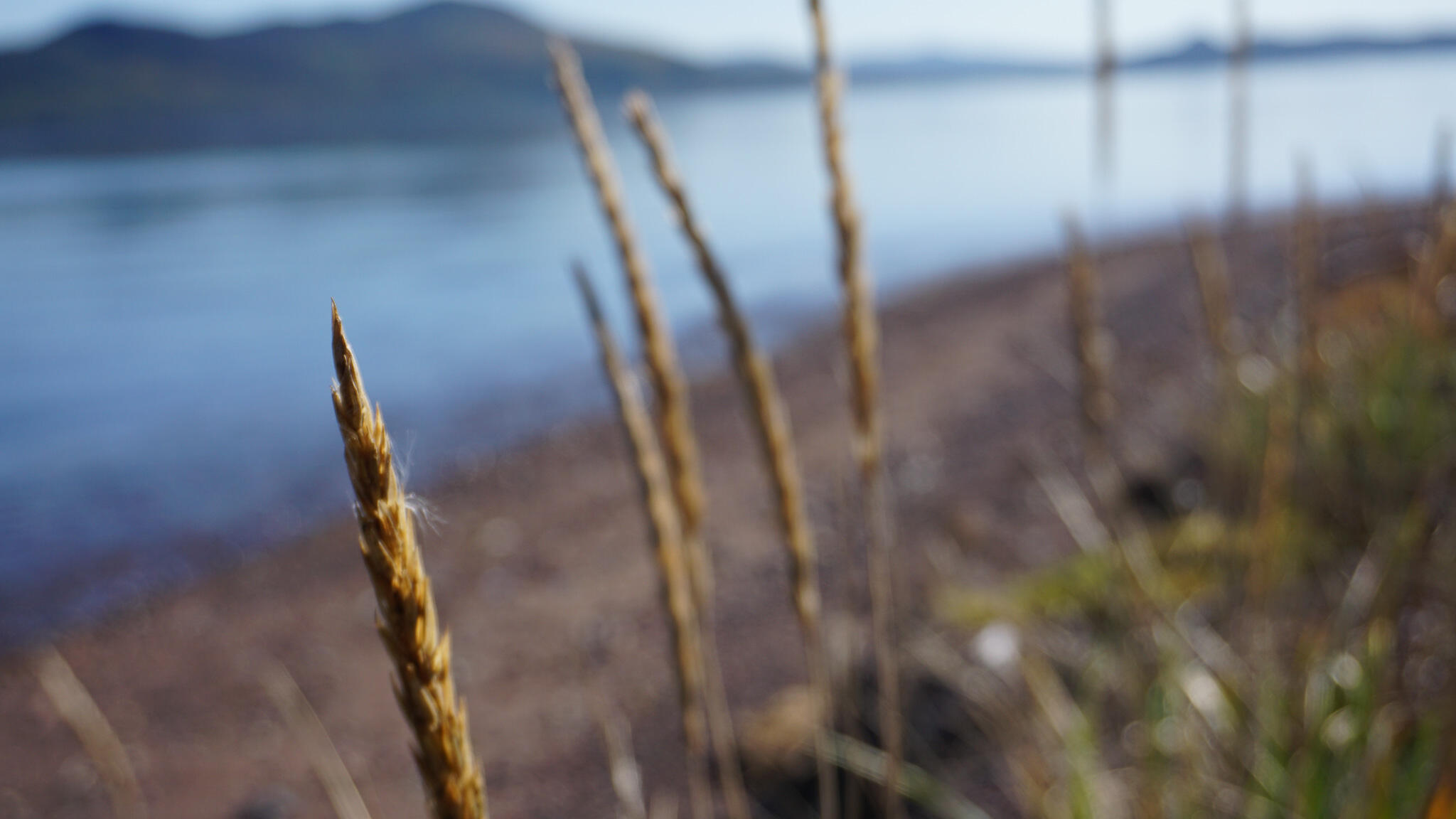 Nanny Talks - Paragon Lit