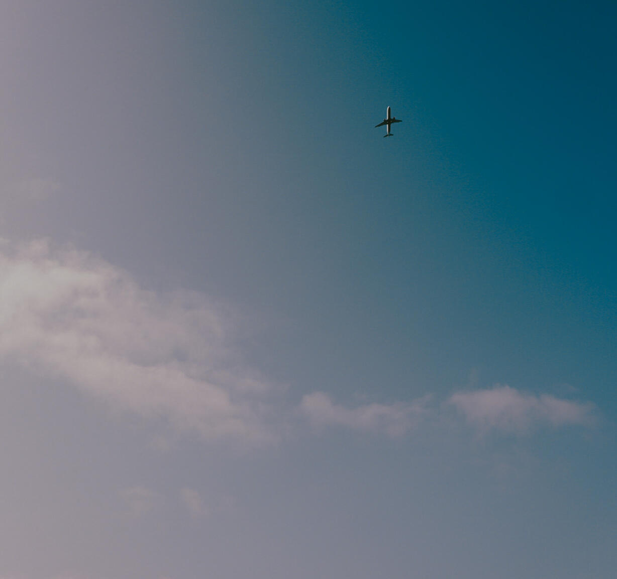 Gimme Shelter &amp; Watermelon Tall Girls - Miracle Monocle