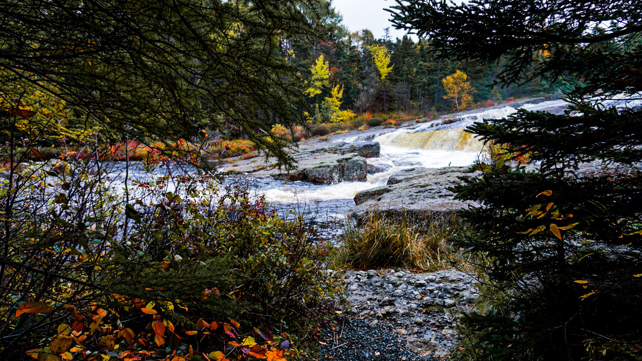 The Way Out Back - Riddle Fence